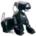 Aibo-1